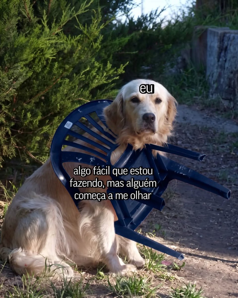 shitpostverdade's tweet photo. https://t.co/uzD7CDuD35