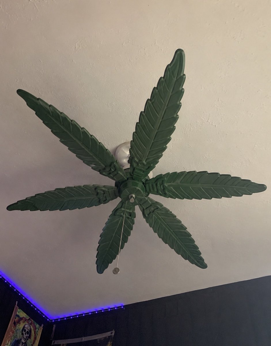 _StonersRUs_'s tweet photo. Canna Leaf Fan 🔥 https://t.co/hCSA5Cjd0r