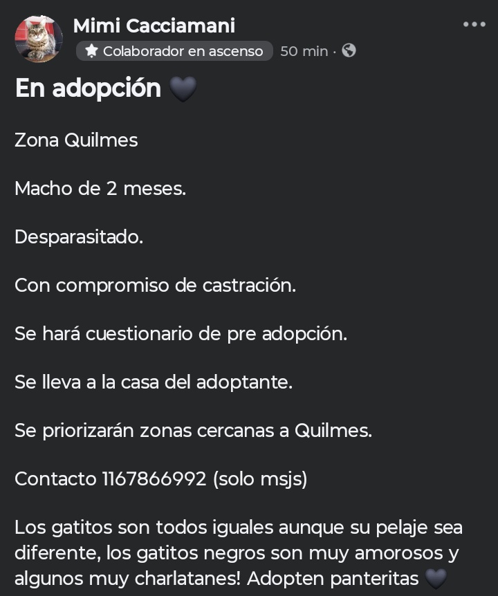 jimenadequilmes's tweet photo. A AYUDAR A ESTE BELLÍSIMO PANTERITO BEBÉ, para que PRONTO ENCUENTRE UNA FAMILIA QUE LO CUIDE RESPONSABLEMENTE Y LO AME DE VERDAD!!!🐈‍⬛🖤🙏😉💞🏡💓💖 Desde ya, muchas gracias!!!🐱🤗❤️ #Quilmes #Adopción #AdoptaNoCompres #AdoptarSalvaVidas https://t.co/lDR26ImNCF