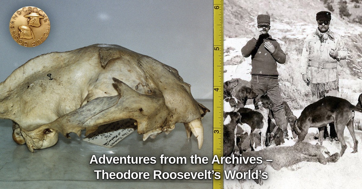 Theodore Roosevelt chased a mountain lion through the snow-covered