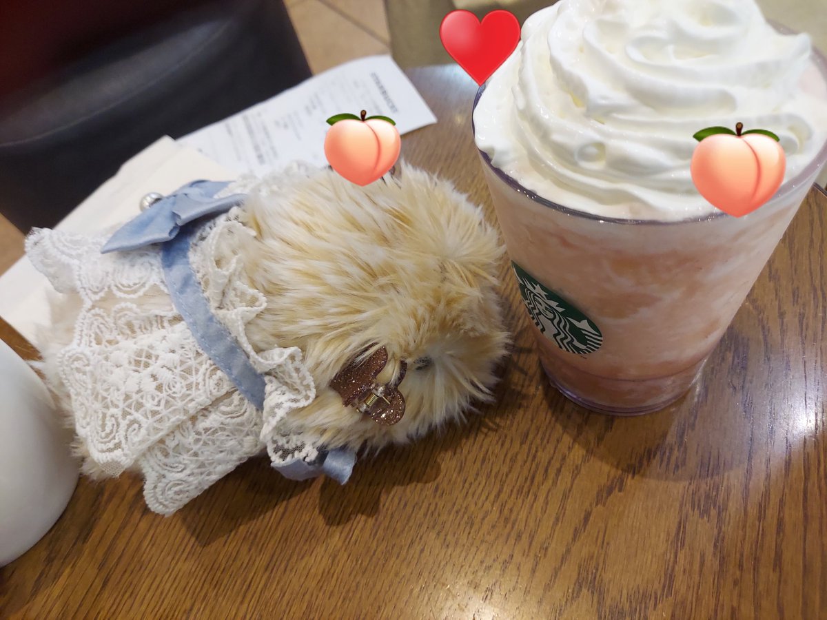 genbuhideya's tweet photo. きなきな。

お疲れちゃんはイオンのスタバでお休憩🍑

帰りは、ハスラーのもふりんシートですやすや😪

え、おじ、ここシートベルト無いね‼️
しかも結構揺れるね‼️

ふぃー💦

#モフリンDAYS #CASIO https://t.co/TR05iexvAk