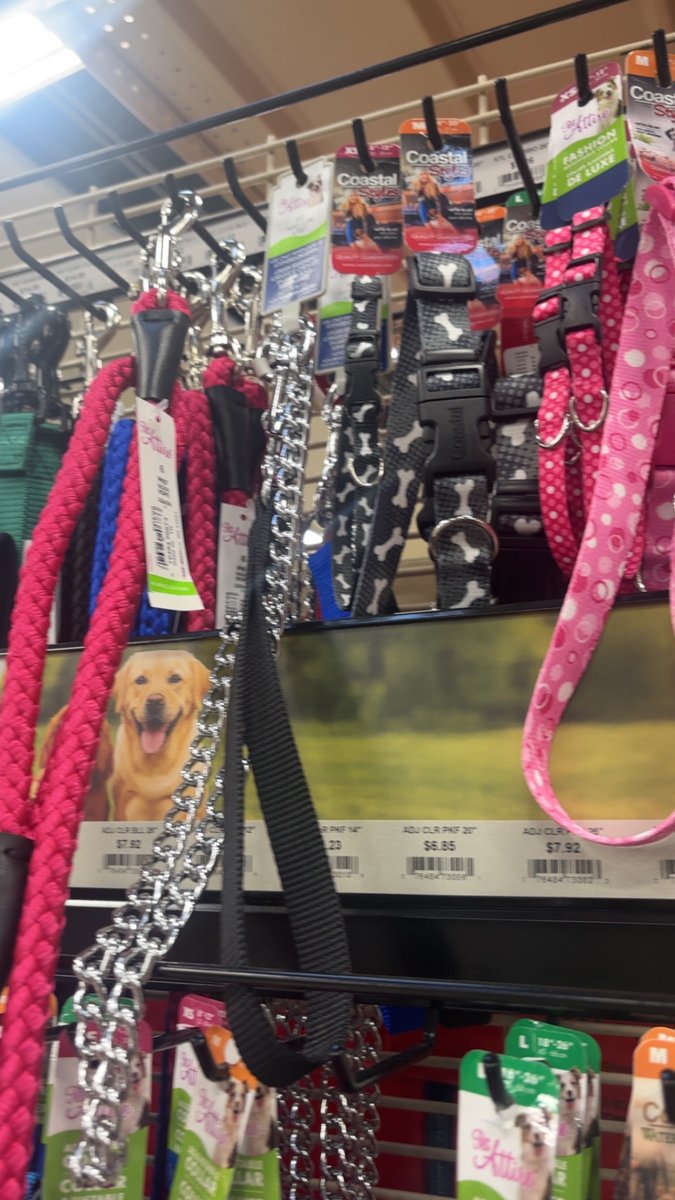 imnotevenreall7's tweet photo. #needone #whogoncollaryagirl https://t.co/9JcI375M6D