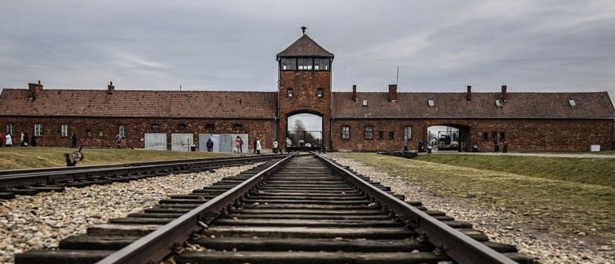 fishareracist's tweet photo. @DWhatzup @TrumpDailyPosts Israel, block me nigger. https://t.co/JGWVbqOAUT