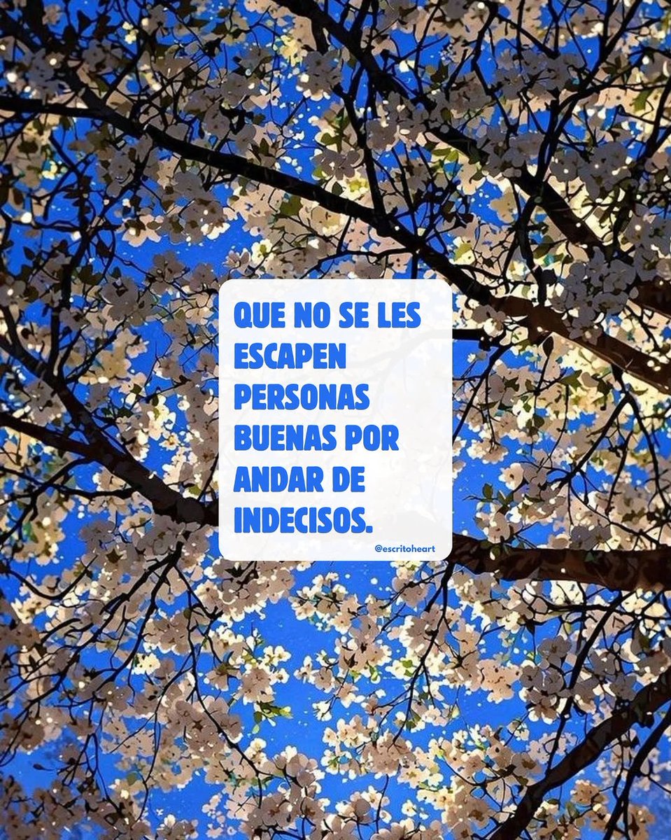 indirectosofi's tweet photo. https://t.co/H23DuMHwCi