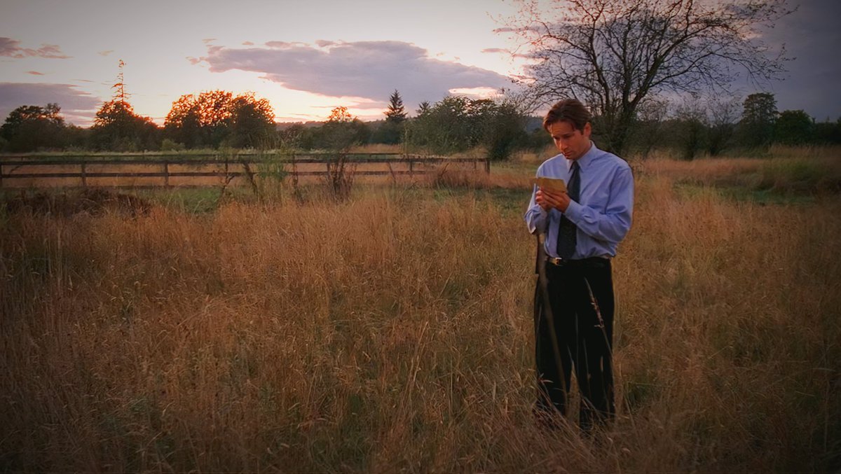 XFilesAesthetic's tweet photo. The X Files was a visually stunning show. https://t.co/cacVl5sAXG