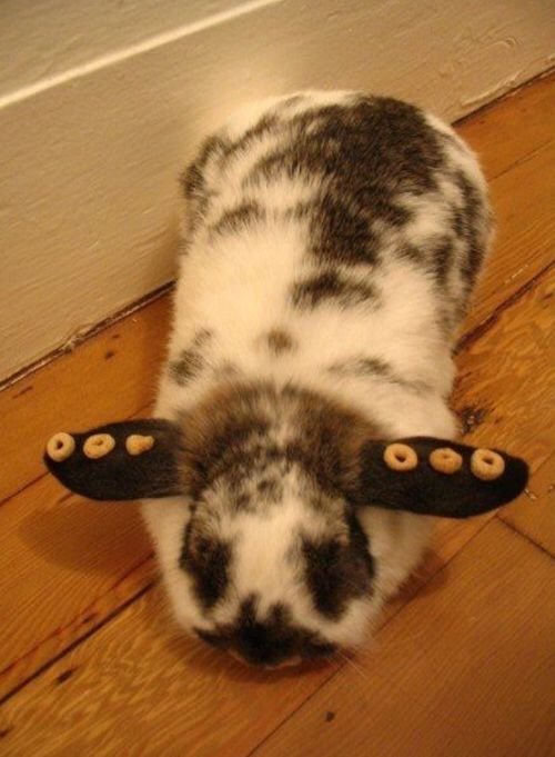 sylviapuffs's tweet photo. oughie im an airplane https://t.co/OiOH4kTYwE
