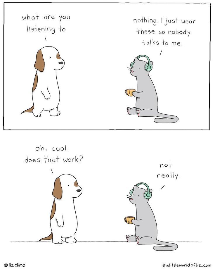 The Pawverse tweet media