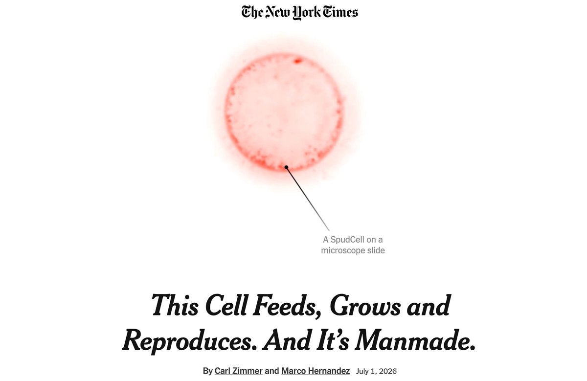 atmanpandya's tweet photo. Spudcell is a monumental step in pushing the frontier of Biotechnology. 

Incredible work by the team at @Bioticorg and a huge shout out to @JedryszekJan for his role in bringing this to life over the past year as part of his Fellowship @osvllc https://t.co/nbCElGVrYH