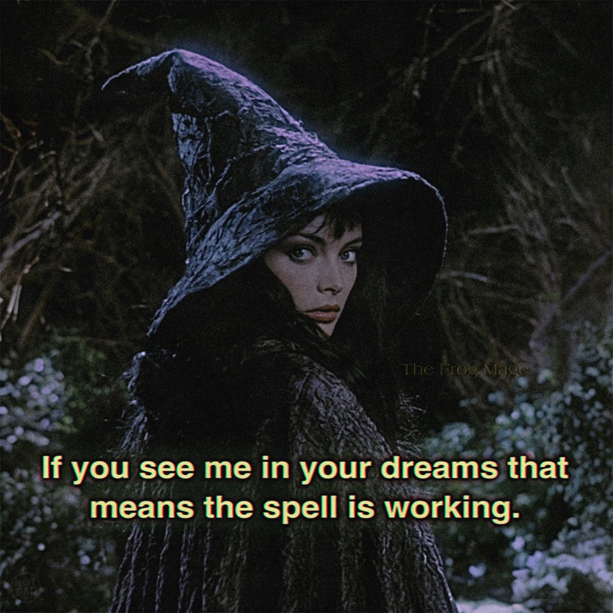 the_frog_mage's tweet photo. https://t.co/iBswtiFy4P