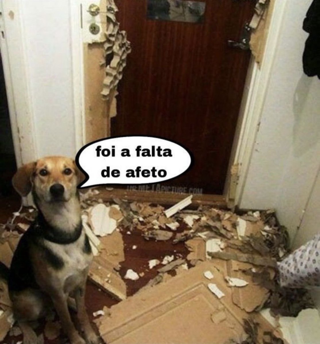 shitpostverdade's tweet photo. https://t.co/4dg2SNWE59
