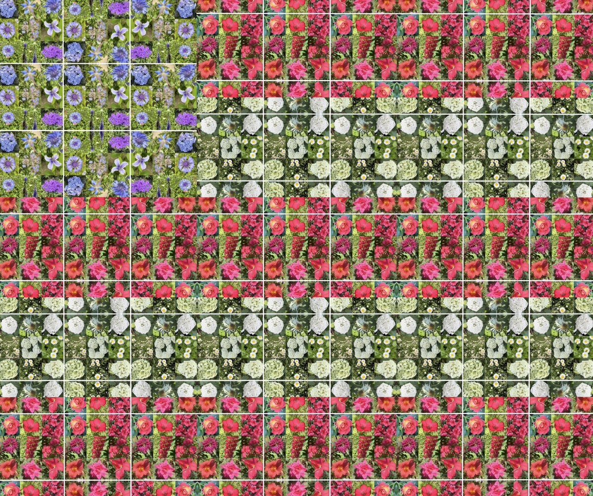 barnathanes's tweet photo. Happy Birthday, America!! #july4 #independenceday https://t.co/KCkwHGKRYL