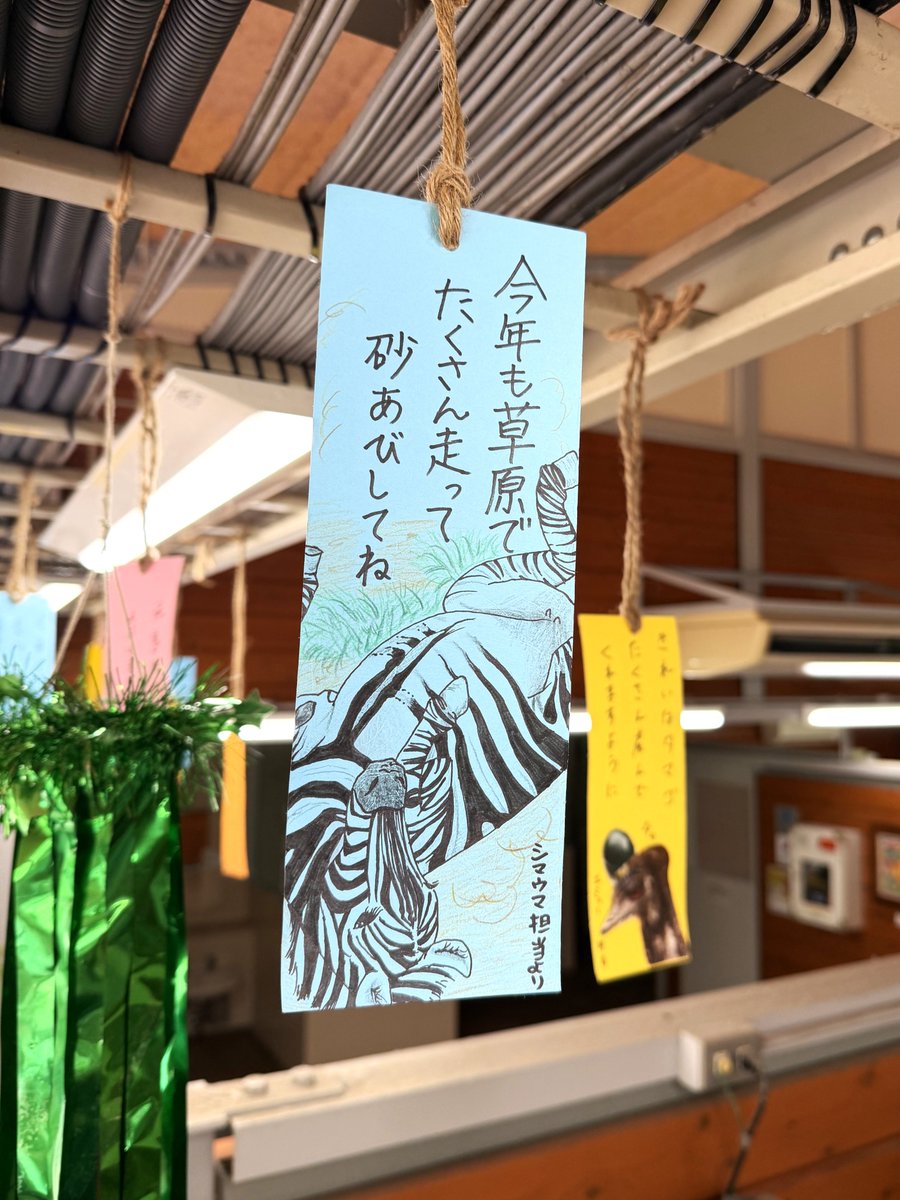 ZOORASIA_office's tweet photo. 開催中の #ズーラシアde七夕 から、飼育員の書いた短冊紹介Part4！
迫力満点なものや、写真かと思うほどリアルなものも！

お気に入りの短冊は見つかったでしょうか？
短冊は明日7月6日(月)まで、ころこロッジにて飾られています！ぜひ足を運んでくださいね☆彡
#ズーラシア #ZOORASIA https://t.co/Q0gP90WbtY