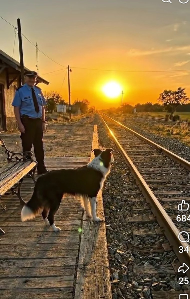 presigata's tweet photo. La ÍA siempre guarda figuras raras entre sus fotos o paisajes di no agrandar la figura del.árbol y me parece ver como una cara de perro. Si se observa siempre hay más figuras disimuladas https://t.co/Fr1H337geU