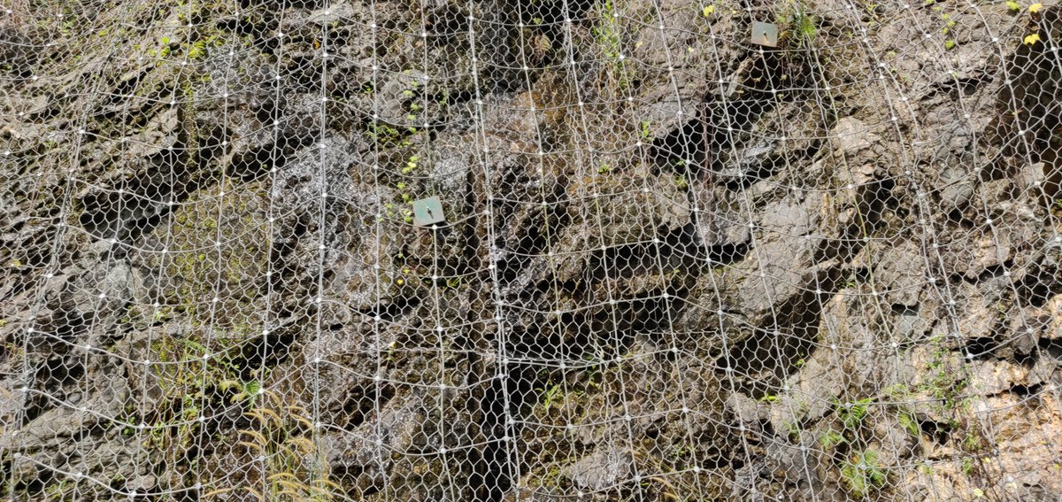 AnanthOnTrack's tweet photo. More pictures from the same motor trolley inspection from Sengottai to Thenmala - passing over the landmark Pathimoonu Kannara (13-arch) bridge on the motor trolley; the track curving through the scenic green cover; and the goats we encountered that slowed down the trolley; a photo of the netting done to secure the cutting and prevent boulder fall during the monsoon. #IndianRailways #inspection #memories