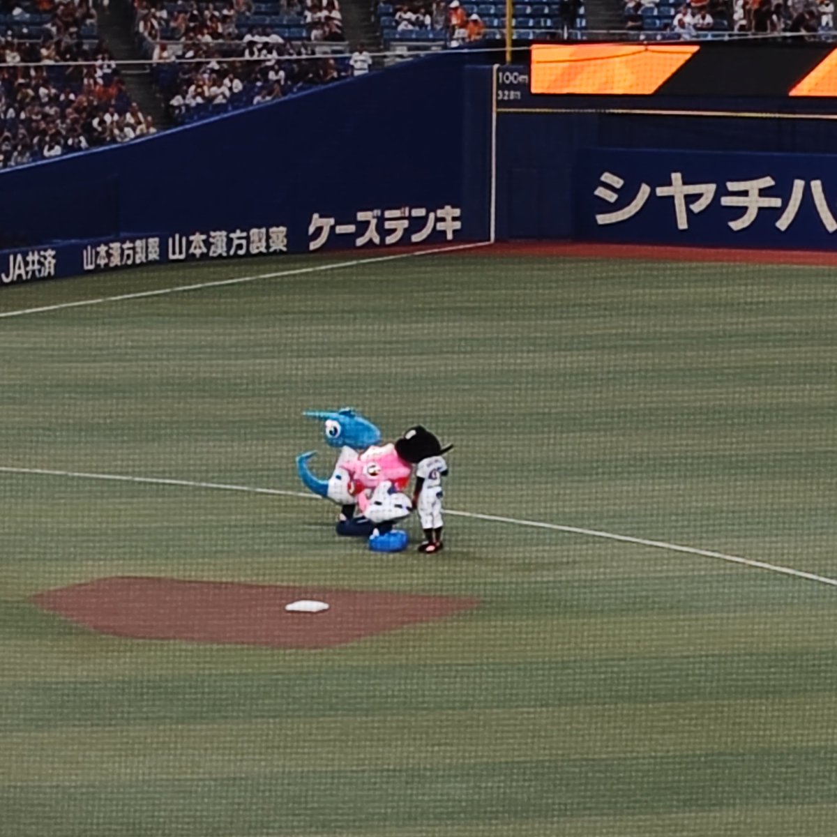 002Dh's tweet photo. ぱおに面倒見てもらってる黒 https://t.co/8RfgghDVnq