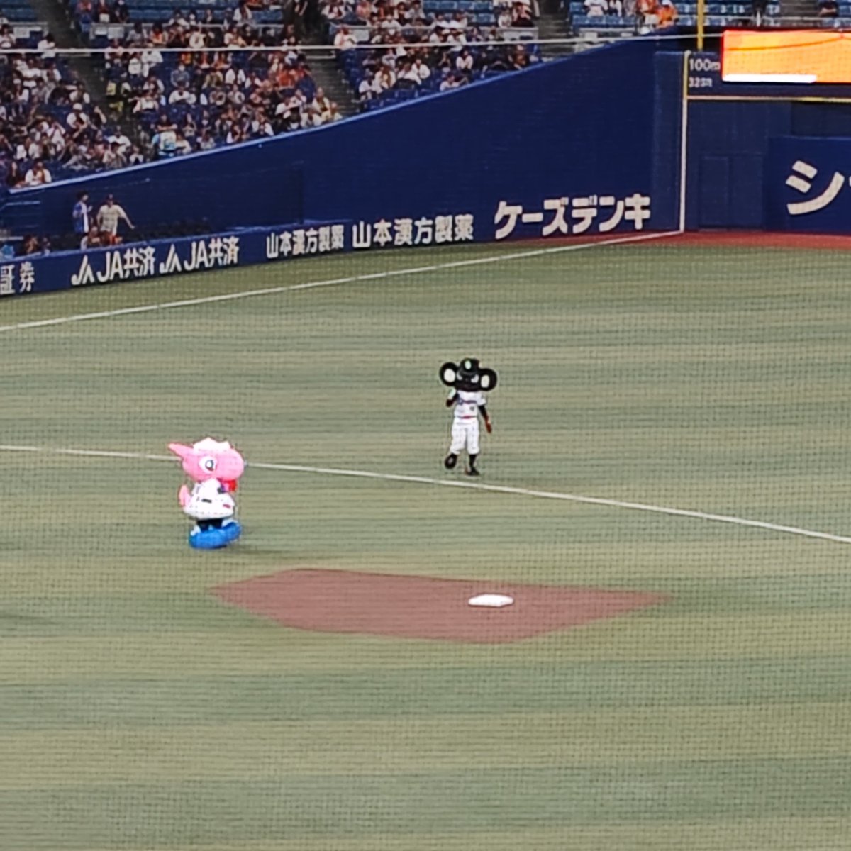 002Dh's tweet photo. ぱおに面倒見てもらってる黒 https://t.co/8RfgghDVnq