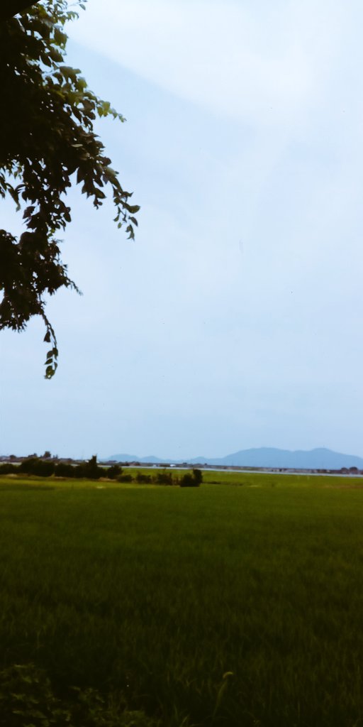 ushinocoffee's tweet photo. 蒸し蒸し暑いけど晴れ！
本日も元気に営業開始しておりまーす
カレーもあるし、ミルク出し珈琲もありますよー

珈琲ゼリーは研究続行。来週末には完成させたいなぁ。。。 https://t.co/XF4cxh6WlV