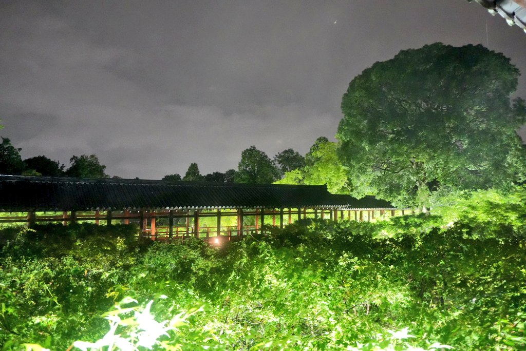 NontanMu's tweet photo. 最近は光の戦士の奇跡展に行ったり、お寺の夜見学にいったり、ゲームはFF14しながらおなじみメンバーでVrizingしたりで楽しく過ごしています(^ᓀ⩊ᓂ^) https://t.co/vTchHVh7nN
