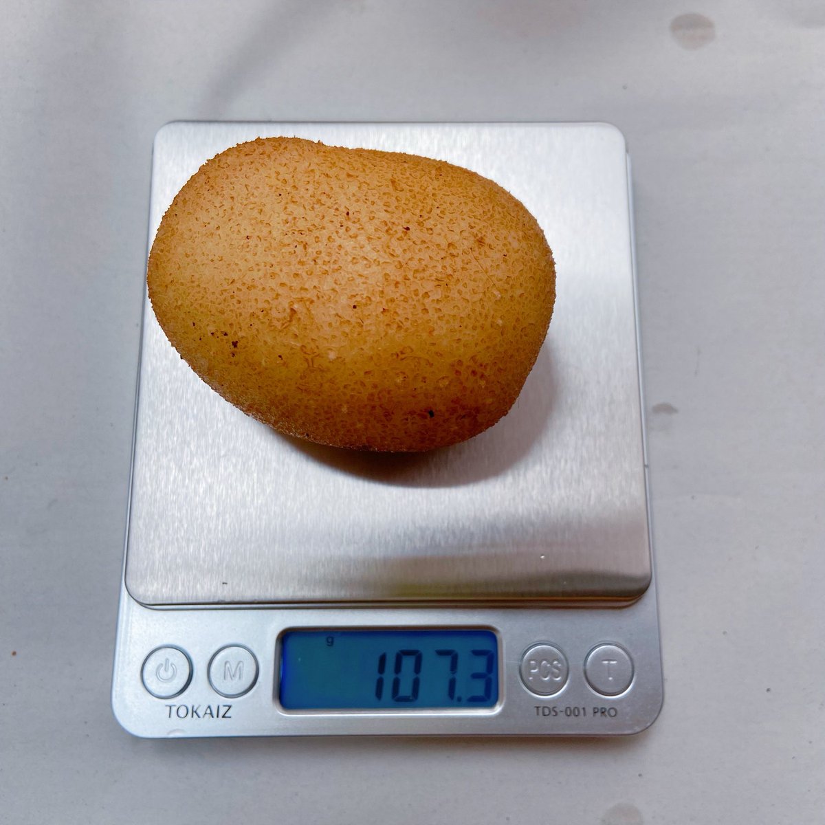 imuz's tweet photo. ポテトバッグの収穫しましたー
最大重量 107.3g
総重量 505g
でした！
もっと沢山収穫できるよう次回も挑戦してみたいです！楽しかったー♪
#ポテトバッグ甲子園2026 https://t.co/yntotKZ0Tn