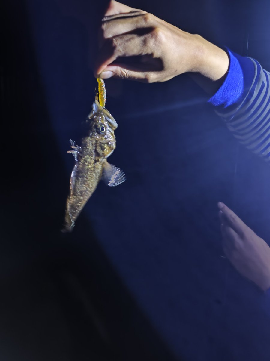 Fishero8oi's tweet photo. meet a fisher in dalian https://t.co/IzPo9Isicj
