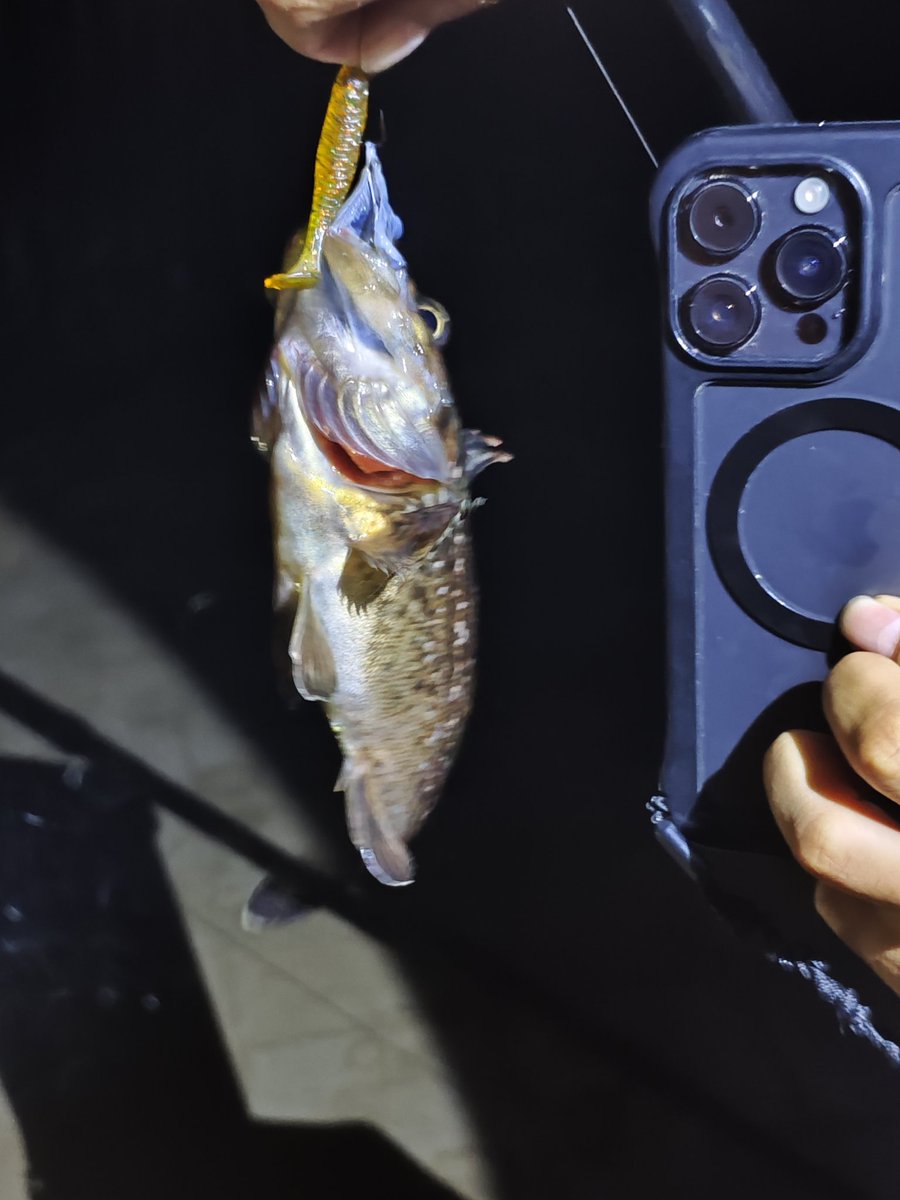 Fishero8oi's tweet photo. meet a fisher in dalian https://t.co/IzPo9Isicj