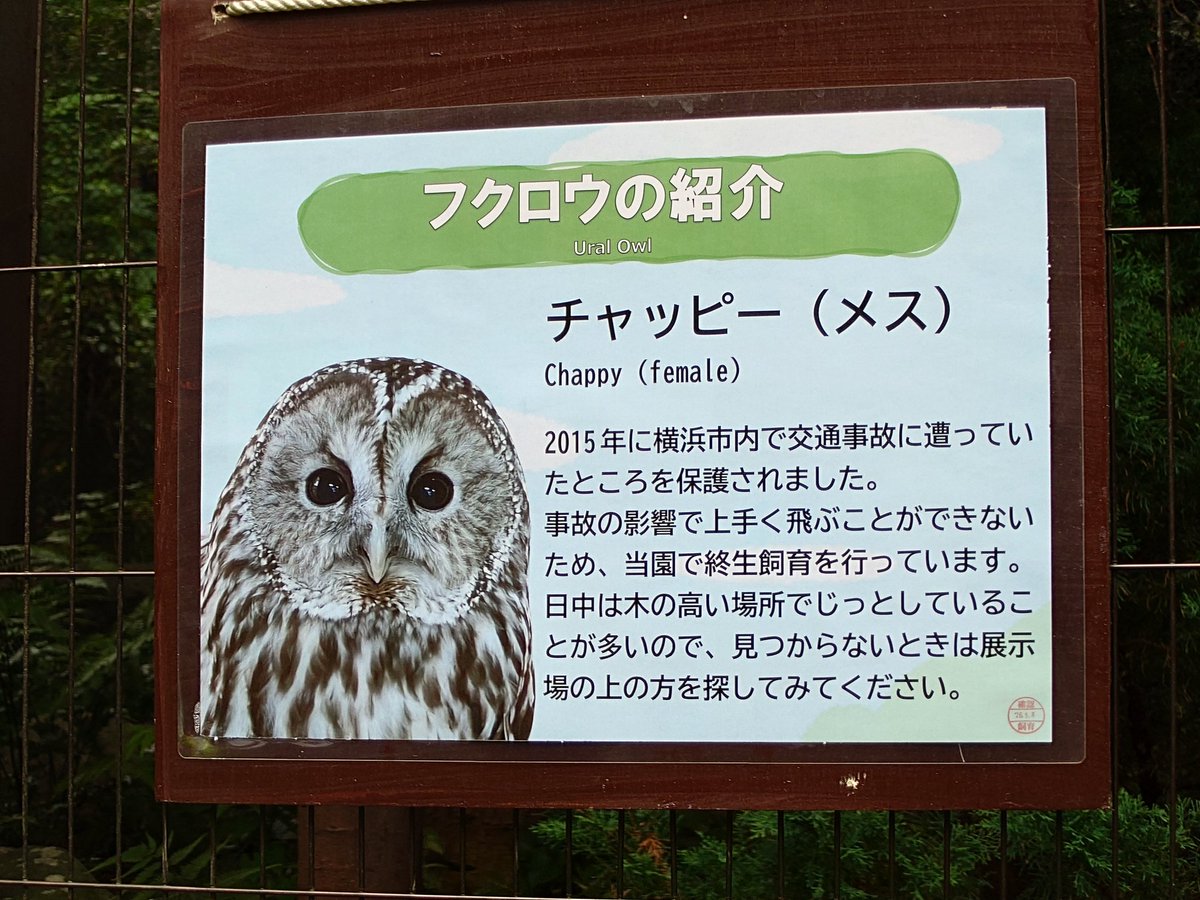 naka3490's tweet photo. 動物園に行ってた https://t.co/qS3OlGlOct