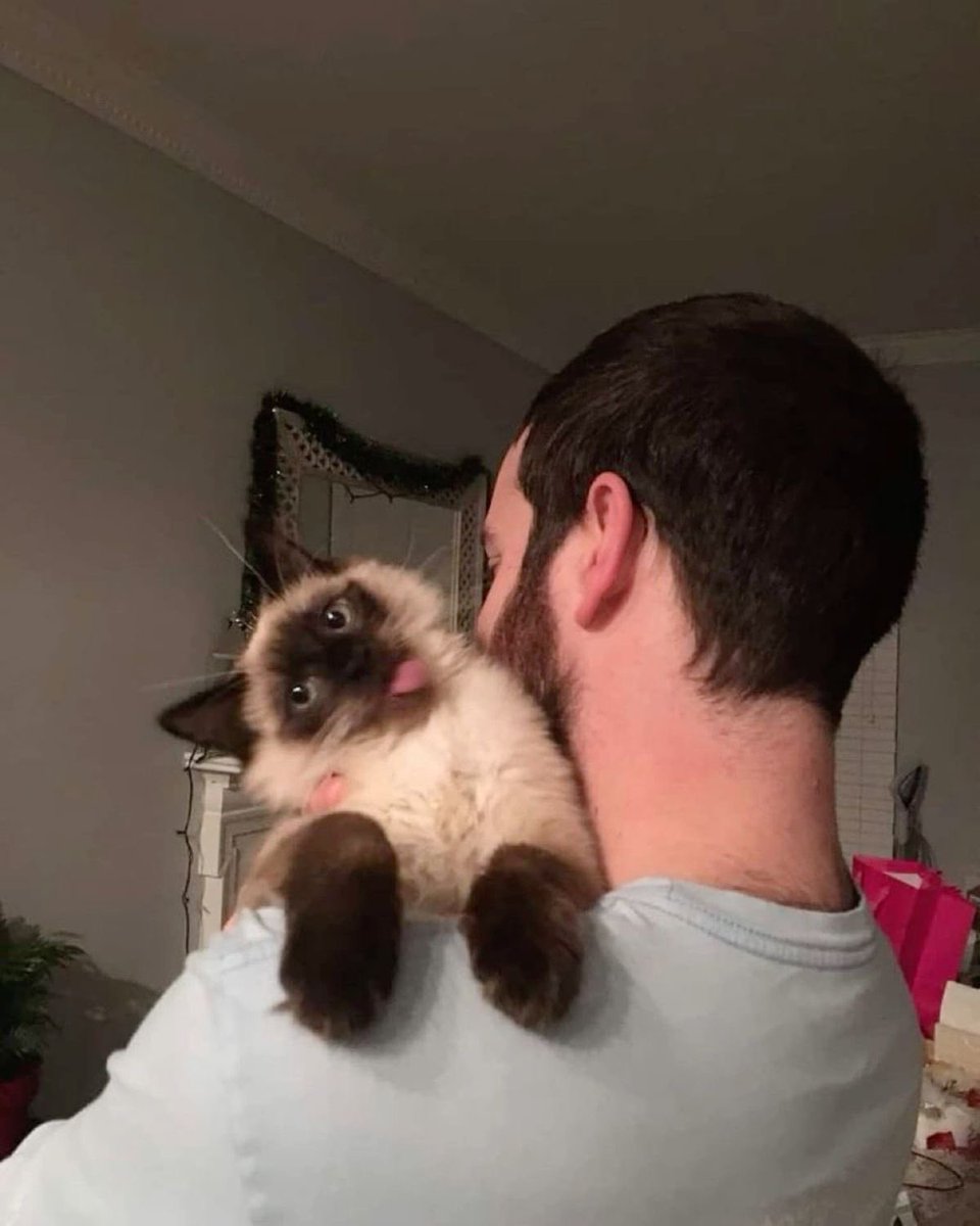 twaniimals's tweet photo. https://t.co/uRk9ywjREy