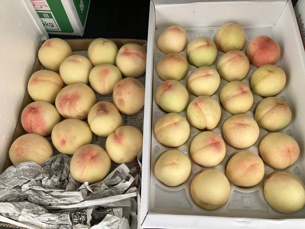 v907d's tweet photo. 桃ジャム用に購入🍑

出来上がりを詰める瓶が足りるかなぁw
これで¥1,600-👍 https://t.co/FATWmt49fZ