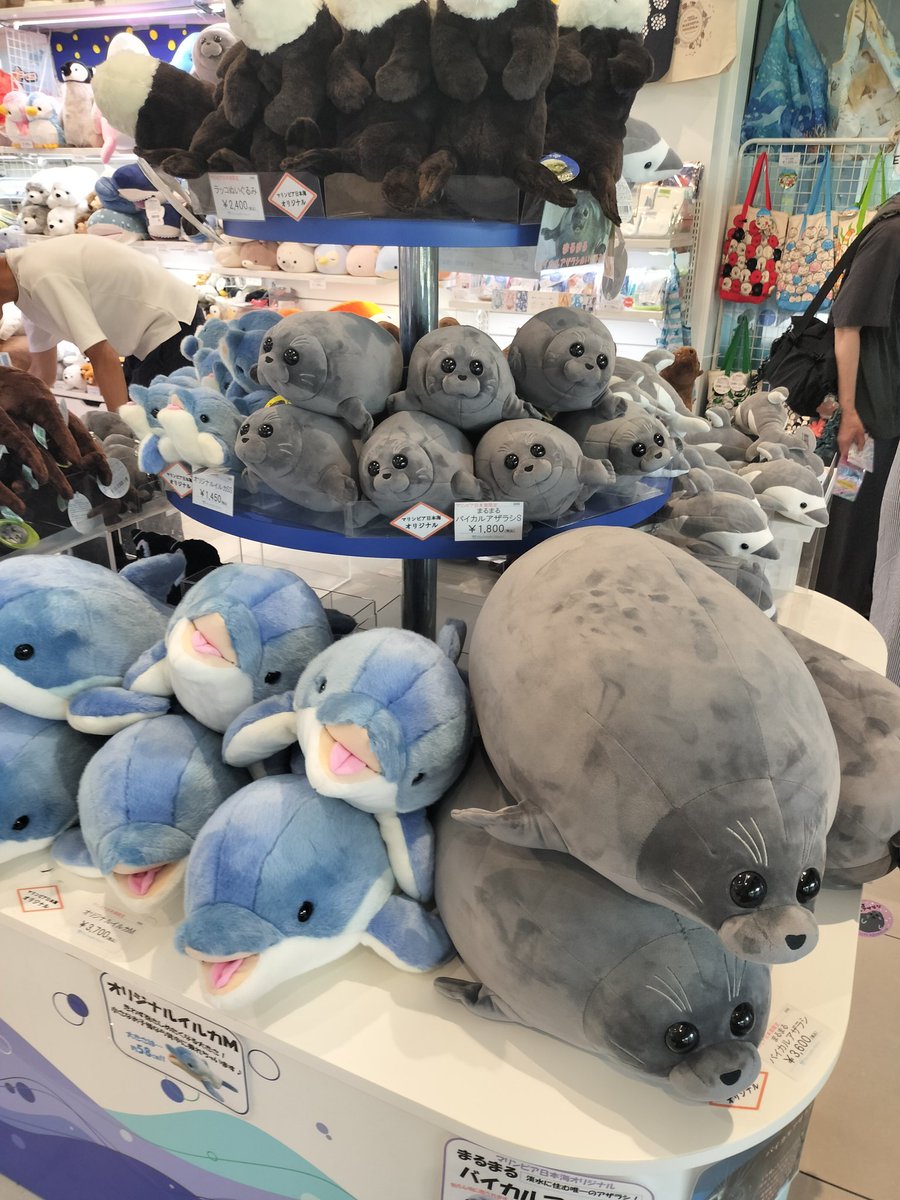 ANAPocket で、【新潟】#新潟市水族館 #マリンピア日本海 にチェック