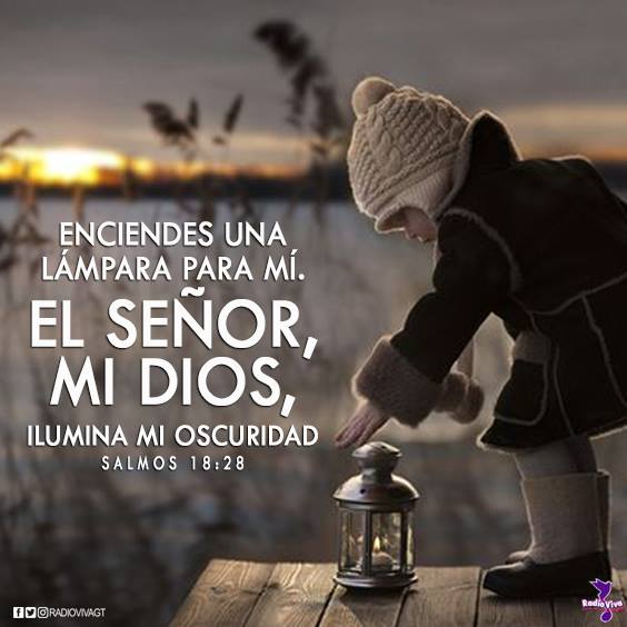barricada_azul1's tweet photo. [EN PAZ ME ACOSTARE]

"Tú encenderás mi lámpara; el Señor mi Dios alumbrará mis tinieblas" Salmo 18:28

#DiosEnLaEcuacion