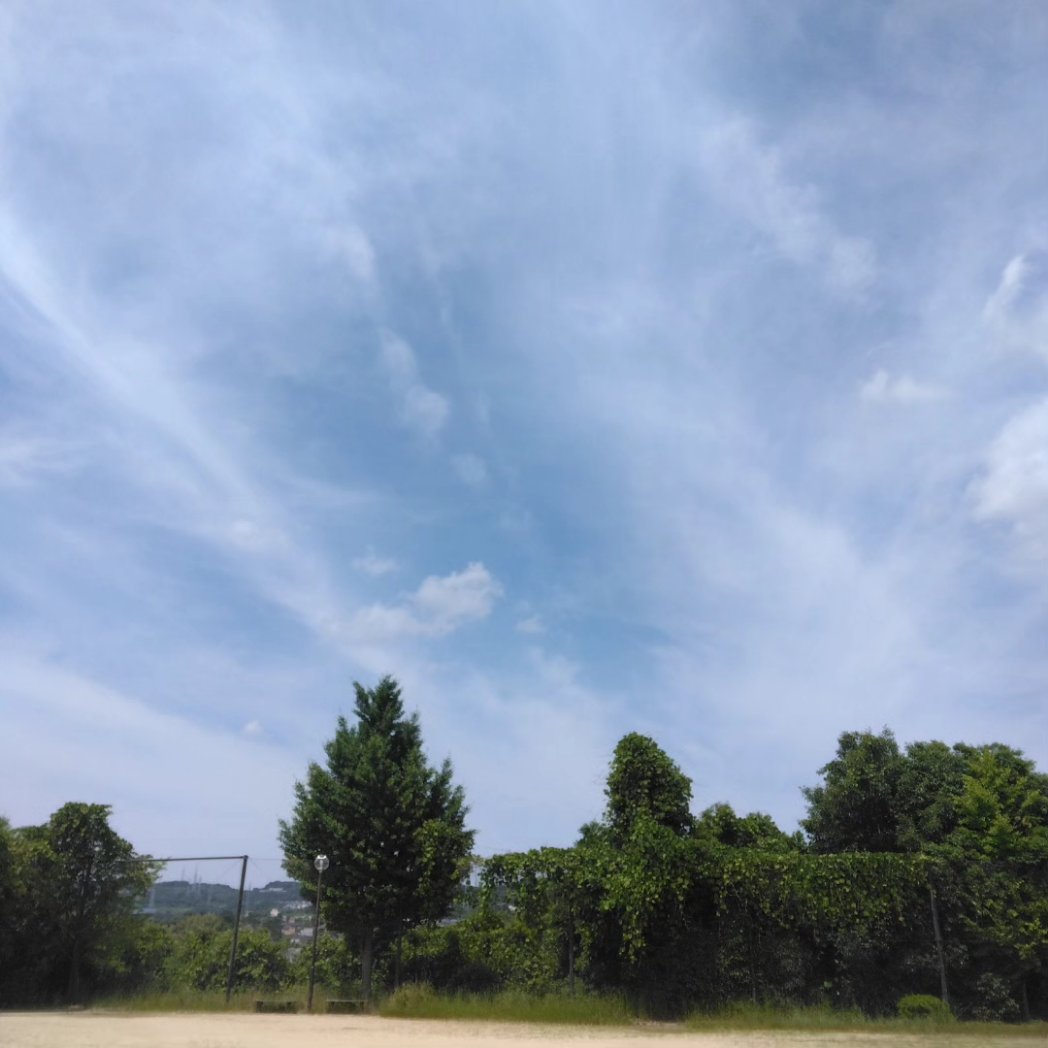 dradrawa's tweet photo. 【うらぎり⚡】

生きてると予想外のことが起こる

優しさや楽しさに触れ、またそれに触れたくなる

その反面、時に怒りや悲しさに触れることがある

優しさや楽しさに触れることに期待すると、怒りや悲しさが心の負担になる

裏切られた感覚が大きいときは、それだけ自分が期待してたということ🤲 https://t.co/awstyUcVxS