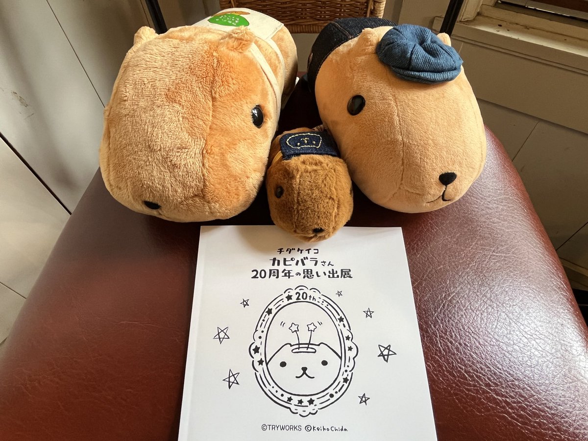 lankpsan's tweet photo. 体感ですが、昨日よりキャンバスはちょっと少なめだったみたいです。
でも！！図録が！入荷しておりまして！！可愛い！(すでに2冊予約しているのに、追加で1冊買った民) https://t.co/BvfTAxAa7m