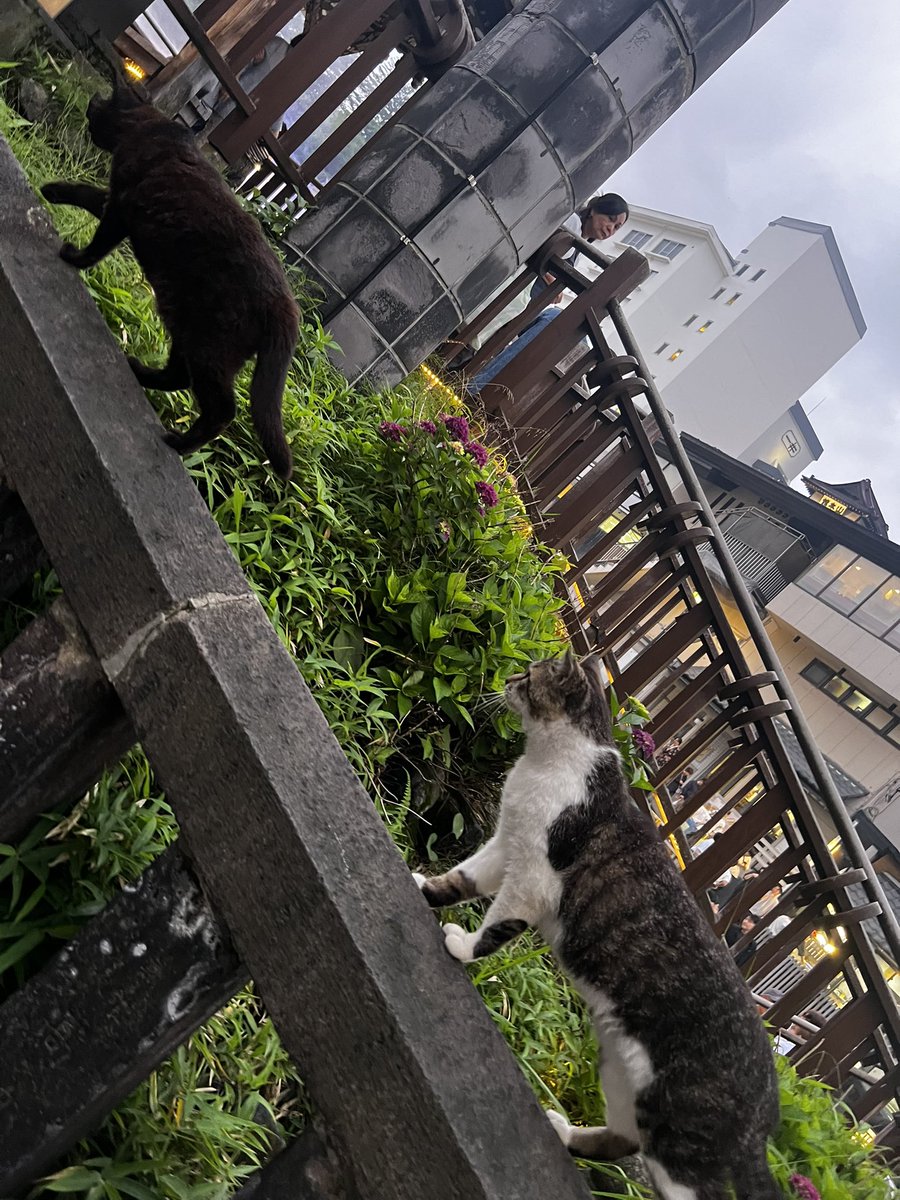 noisyEX's tweet photo. 草津温泉
酒しか飲んどらんかった🍶 https://t.co/SI93E72uc7