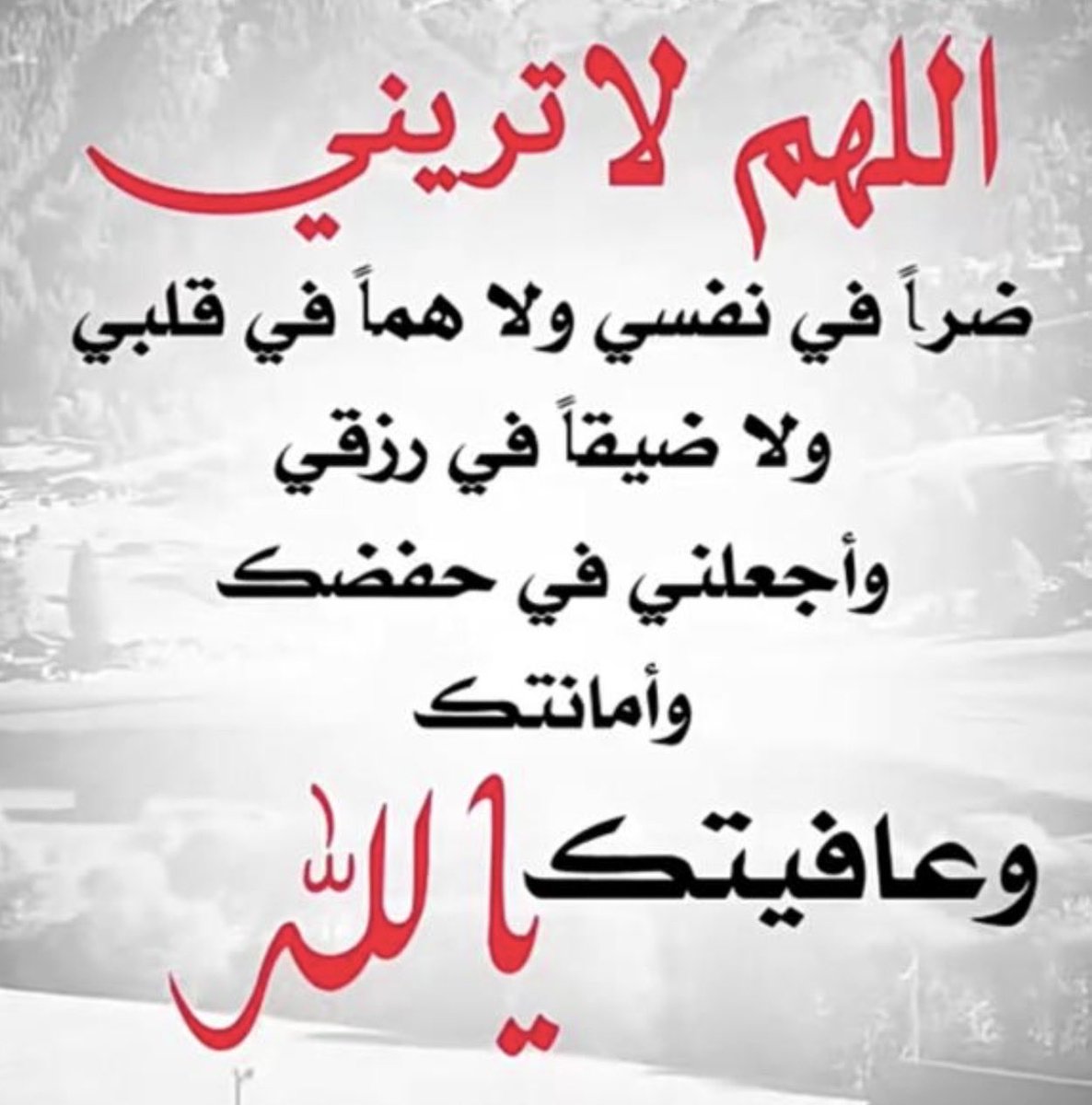 Abdulka41488373's tweet photo. https://t.co/CcDw9gaQl0