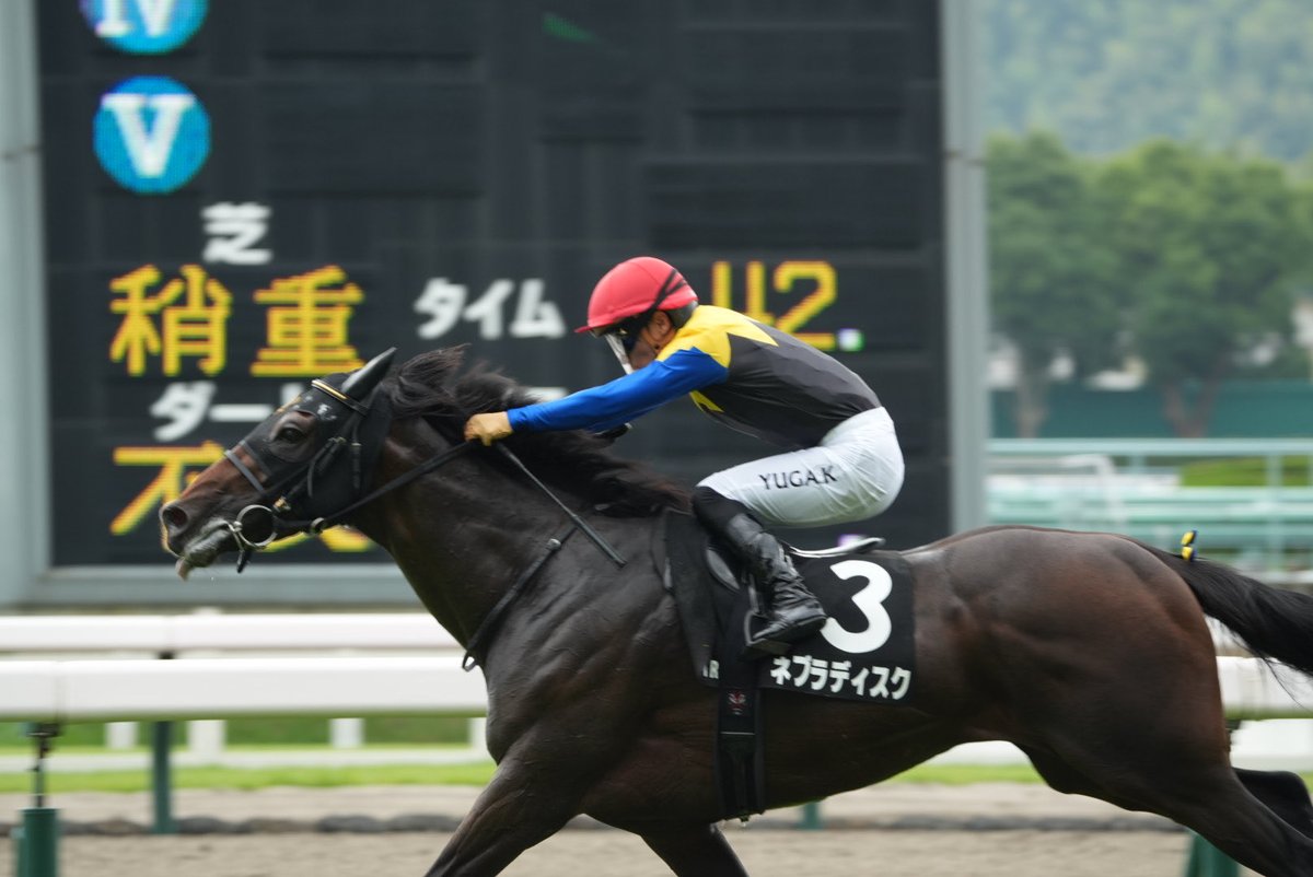 turn0218Bond's tweet photo. 2026.7.4 小倉競馬場 11R 博多S
ネブラディスク × 川田将雅騎手 🥇 https://t.co/CUmEDT2EYN