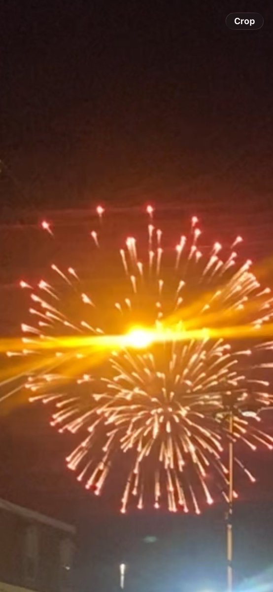SMTPlush's tweet photo. Happy 250 America! 🎆🇺🇸 Hope you everyone had a fun 4th of July watching parades, having cookouts seeing fireworks etc not sure if there will be a 4th of July special this year I don’t have any ideas https://t.co/DWr60cPr26