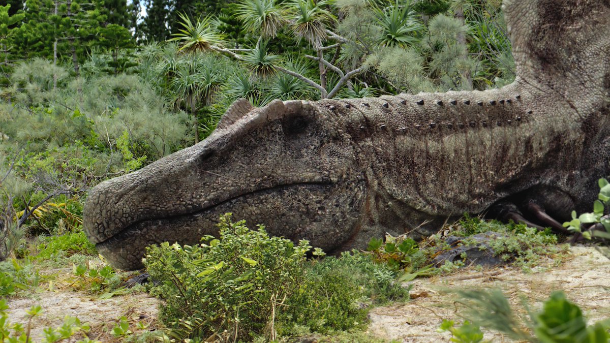 raftingzalmoxes's tweet photo. #SurvivingEarth
One of the greatest Spinosaurus ever to grace our screens... https://t.co/FWZ6omKsI8