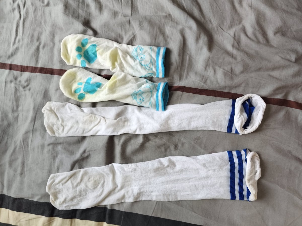 雨枫于树 tweet media