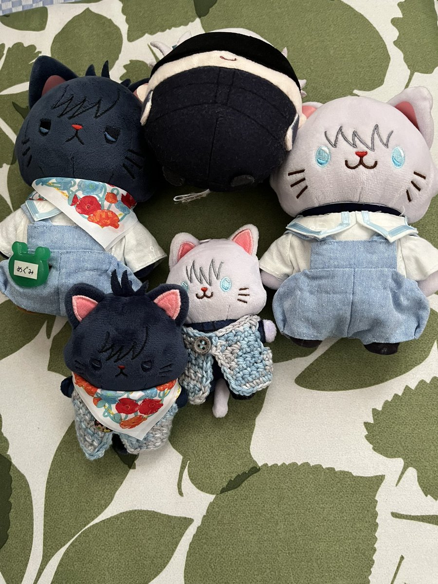 ちび🐈‍⬛おでかけおちょとだちてもらえましぇんでちた😾