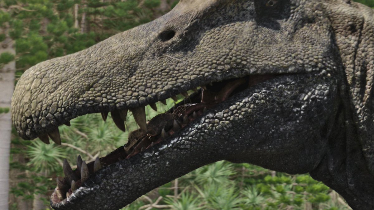 raftingzalmoxes's tweet photo. #SurvivingEarth
One of the greatest Spinosaurus ever to grace our screens... https://t.co/FWZ6omKsI8