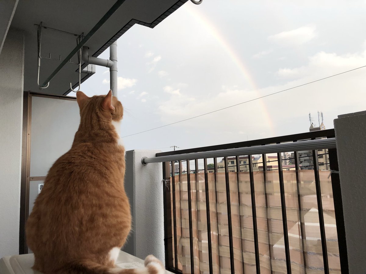Smile_forU's tweet photo. 🌈 https://t.co/mlVzbBv5rV