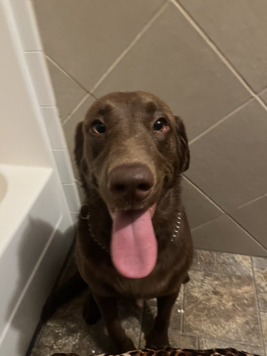 TenyaZ_wife's tweet photo. Gleefully watched me change my pad btw https://t.co/tUUvQhQuK9