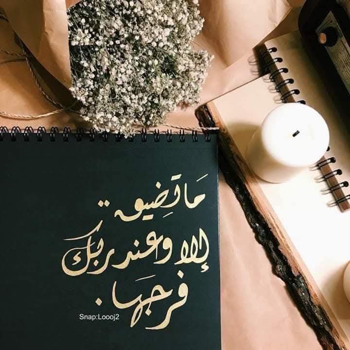 محمد tweet media