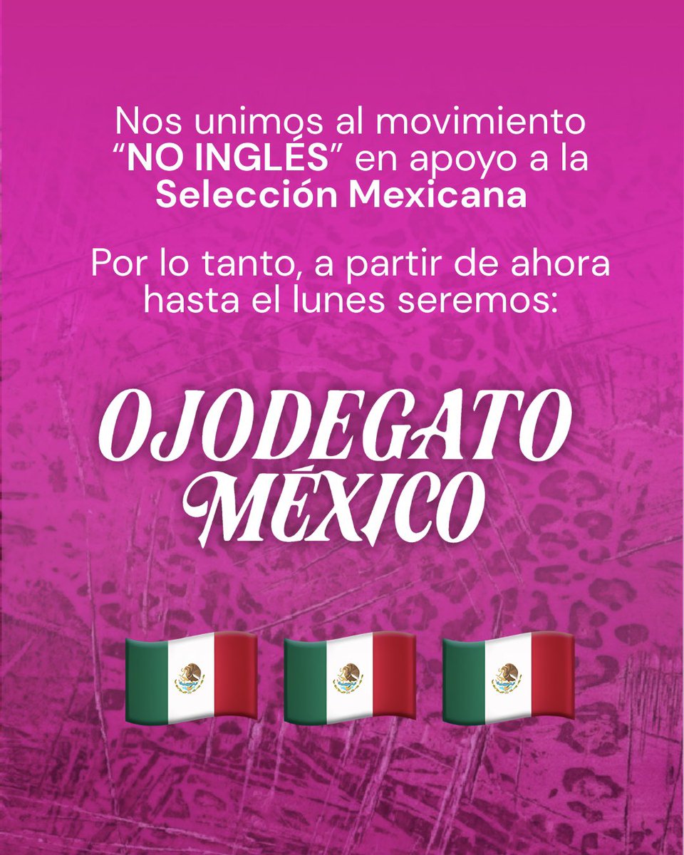 katseyemex's tweet photo. ¿Y si sí? 🇲🇽 
Ahora somos OJODEGATO MÉXICO https://t.co/TCe2Cc8U6A