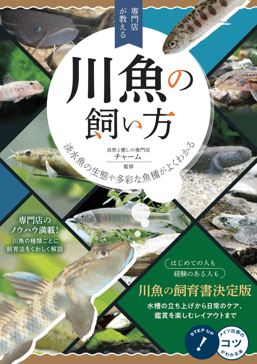 shopcharm's tweet photo. /／
🗣️チャーム監修【川魚の本】が発売します🐟
\＼

📖「専門店が教える 川魚の飼い方」 
淡水魚の生態や多彩な魚種がよくわかる
監修：チャーム
🗓️2026年7月7日予定
仕様：A5判128ページ
定価：1,991円（税込）
ISBN：978-4-7804-3161-2
発行元：株式会社メイツユニバーサルコンテンツ

 ご購入はこちらから💁‍♀️
○Amazon
 https://t.co/VDjgDzhcMq
○楽天ブックス
 https://t.co/ehw5llKfvl