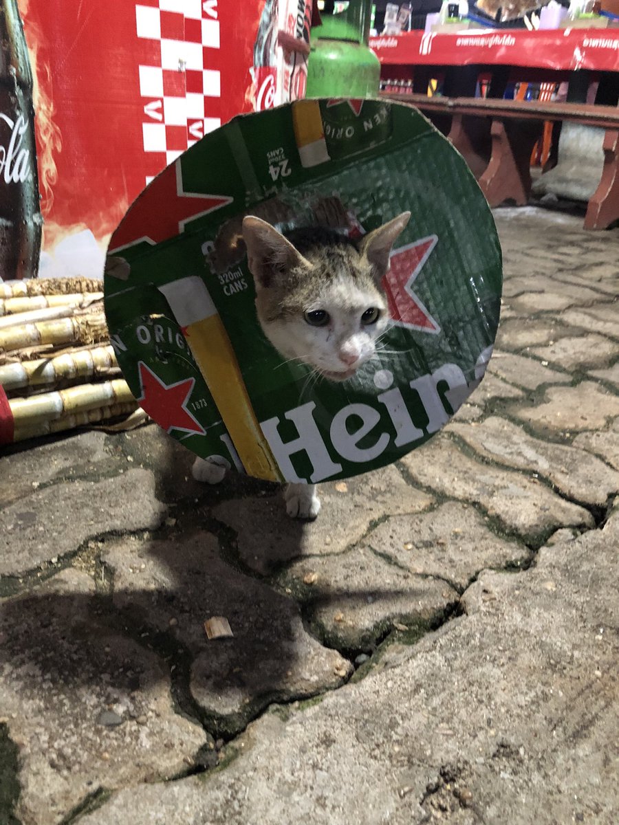 mankensensei's tweet photo. 超超超超超とんでもないことになったかもしれません
興奮でうまくタイピングタッピングできません

詳細はnoteの私のページをご覧ください

＃小倉3R的中  #新理論無敗競馬確立 https://t.co/0wrVqCzf97