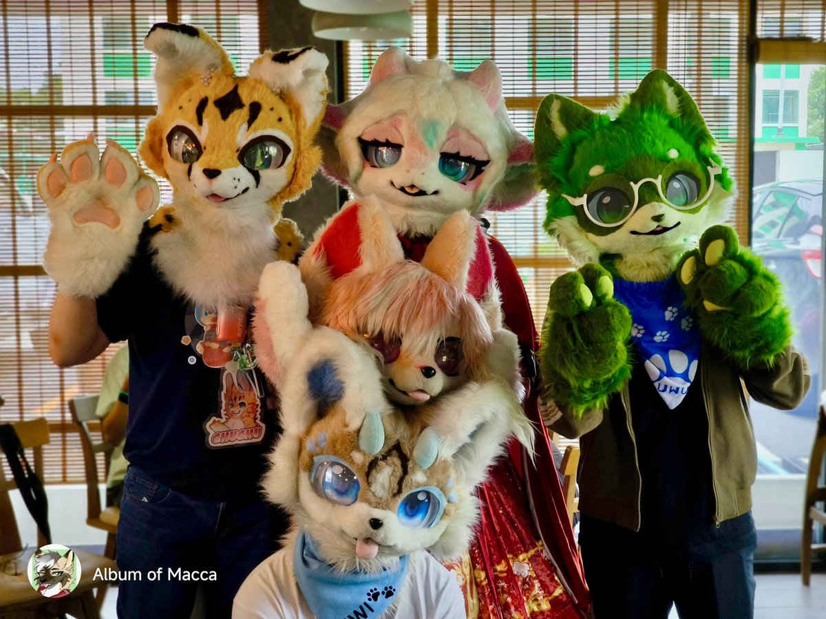 ChuChuCub's tweet photo. Today I am going to Jaree cafe furry meet up with friends and boardgame. Sunday 5th July 2026 12:00pm. Looking forward to see you and friends. #fursuiter https://t.co/FUlqGaTGaH