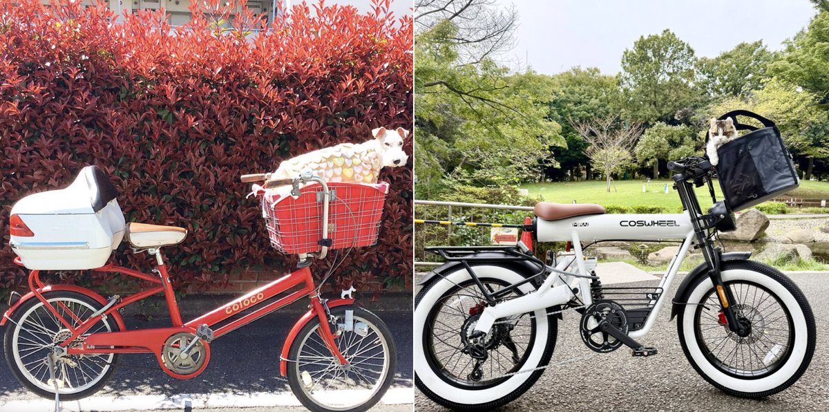タンタン号は見た目は かわいいのですが 変速ギヤもない自転車で 12年