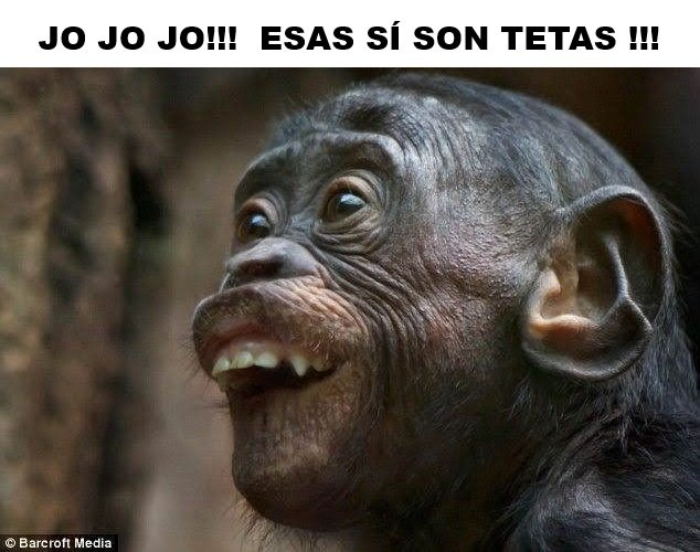 Florde_Cogollo's tweet photo. @YariMartin03 https://t.co/7OwXFZZ9K3