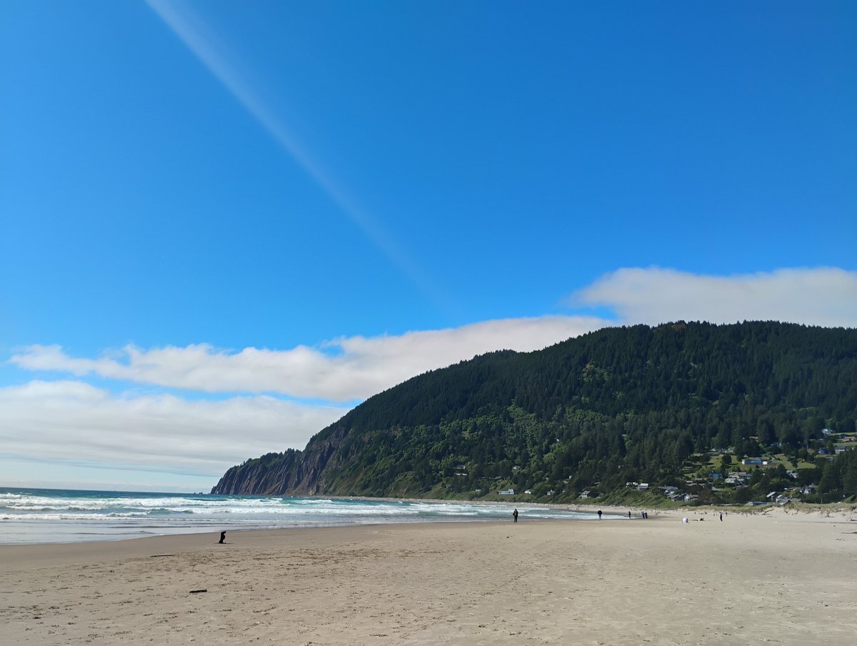 sharkmimimi's tweet photo. i love you oregon coast. you'll always be the home of my heart https://t.co/wtjWAGWEg1